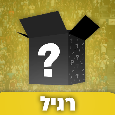 מיסטרי בוקס רגיל